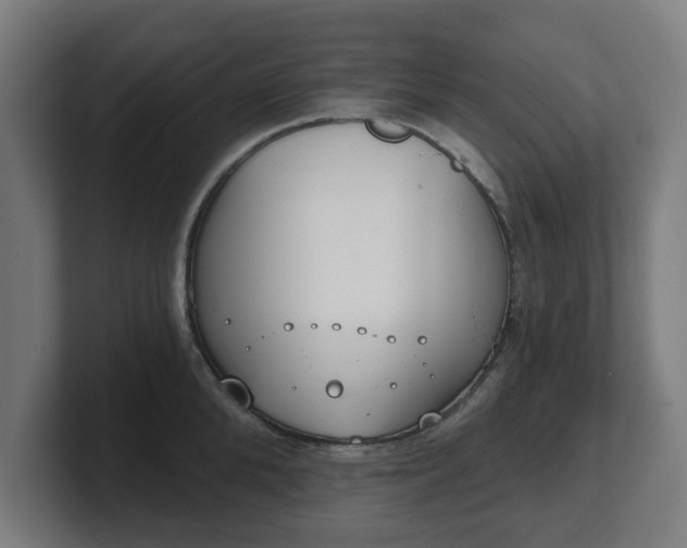 X0000101700904200807171512