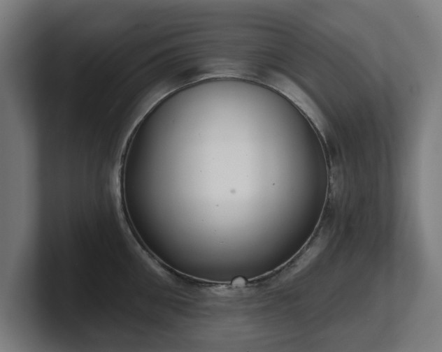 X0000101700906200807171512