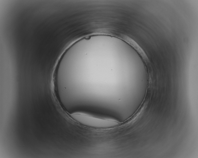 X0000101700908200807171512