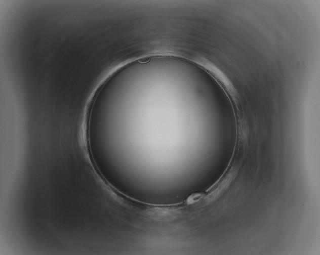 X0000101700910200807171512