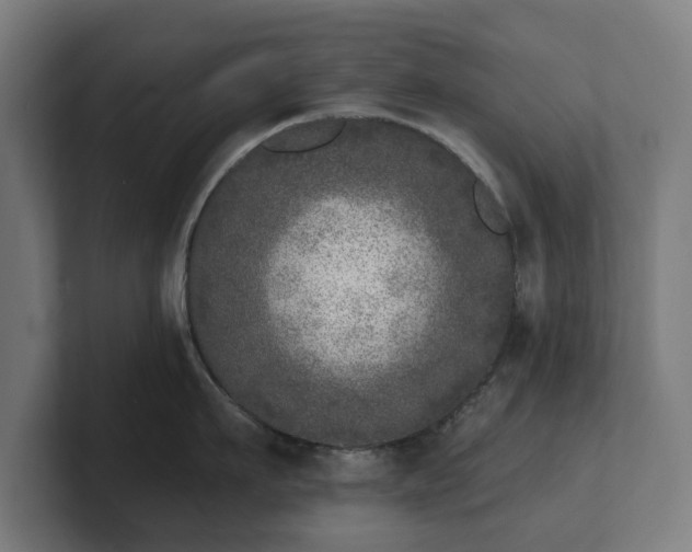 X0000101700911200807171512