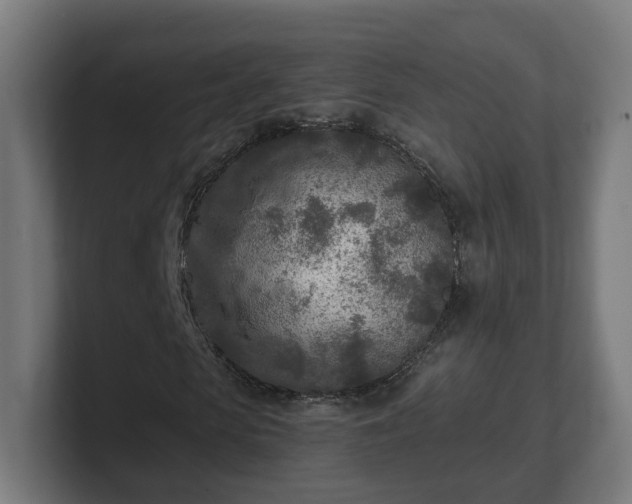 X0000101700913200807171511