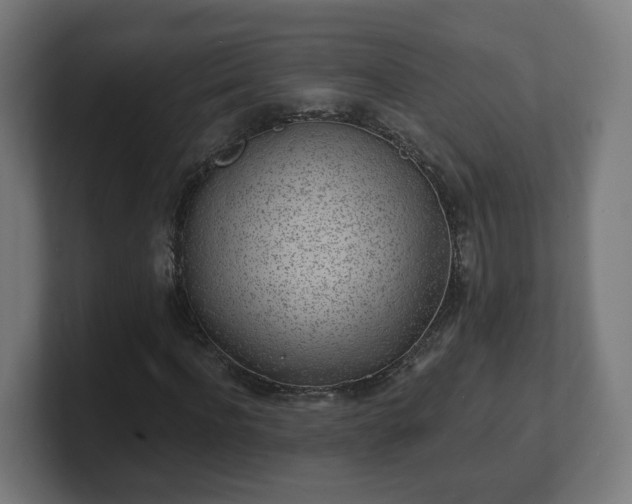 X0000101700916200807171511