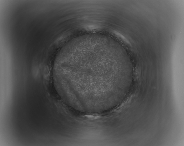 X0000101700917200807171511