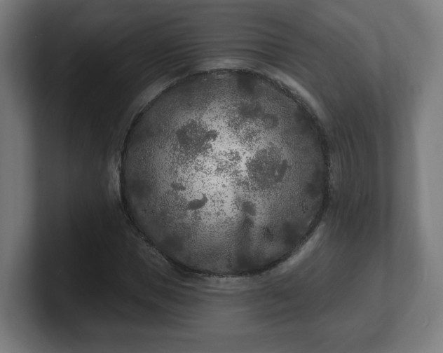 X0000101700921200807171511