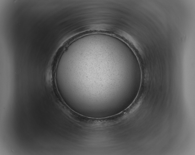 X0000101700923200807171511