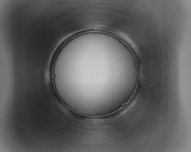 X0000101700924200807171511