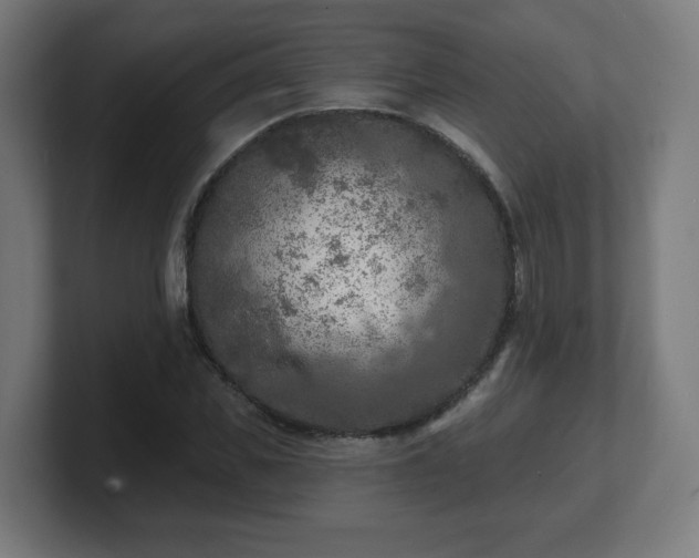 X0000101700925200807171511