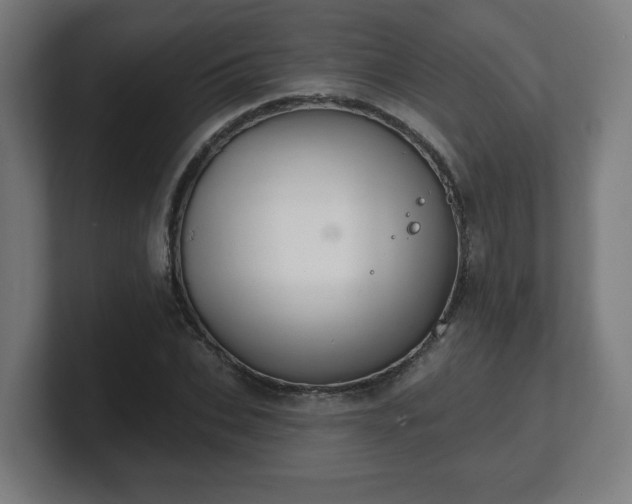 X0000101700927200807171511