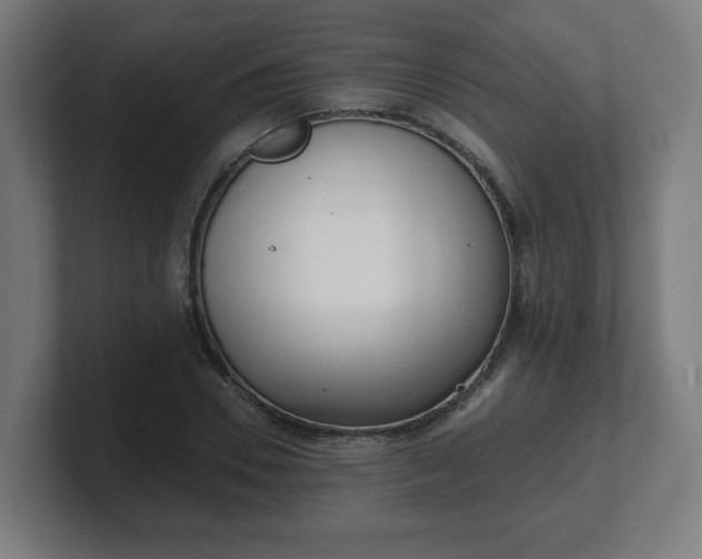 X0000101700930200807171511