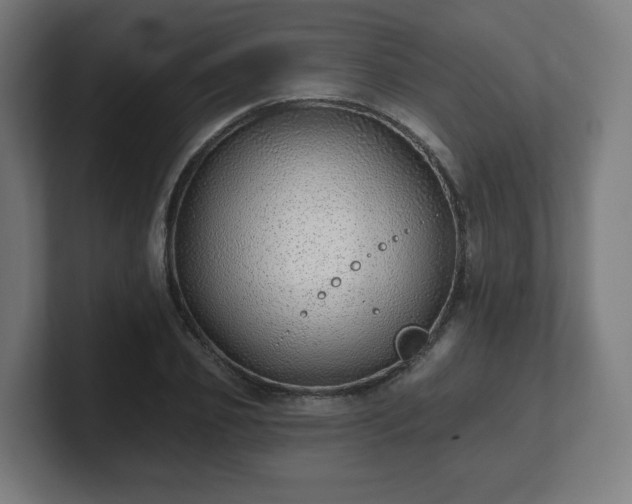 X0000101700933200807171511