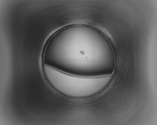 X0000101700936200807171511