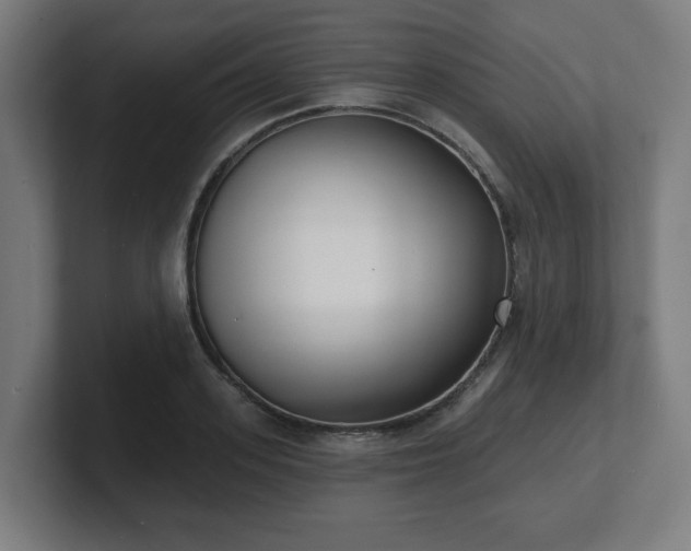 X0000101700939200807171511