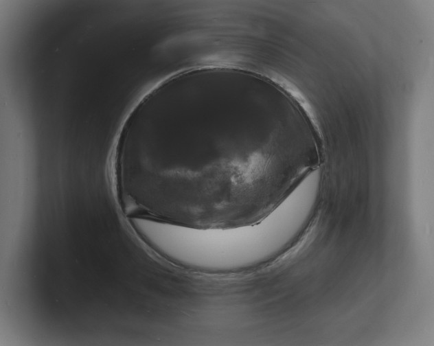 X0000101700941200807171511