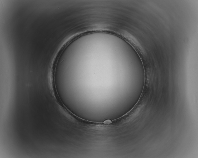 X0000101700942200807171511