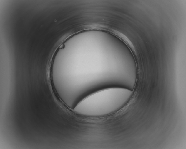 X0000101700946200807171511