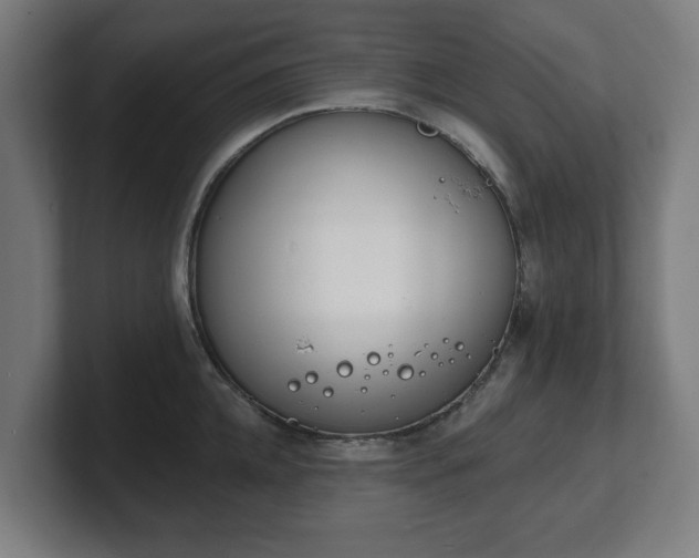 X0000101700952200807171511