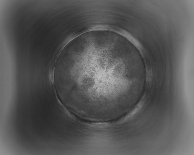 X0000101700953200807171512