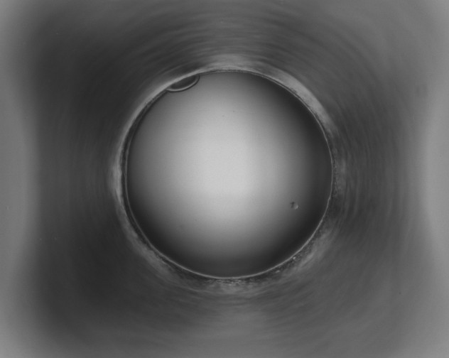 X0000101700955200807171512