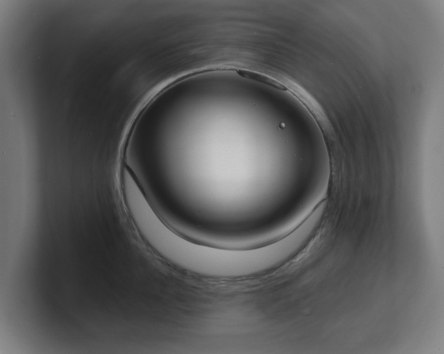 X0000101700956200807171512