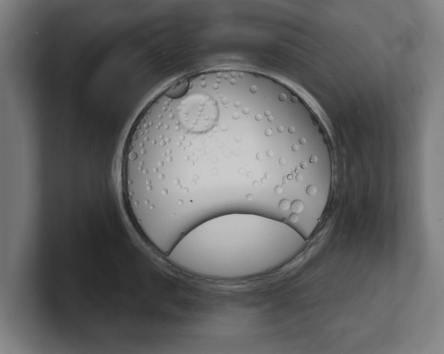 X0000101700957200807171512