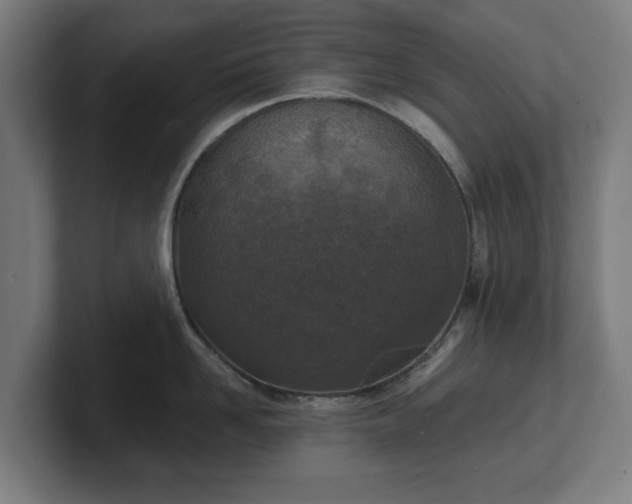 X0000101700958200807171512