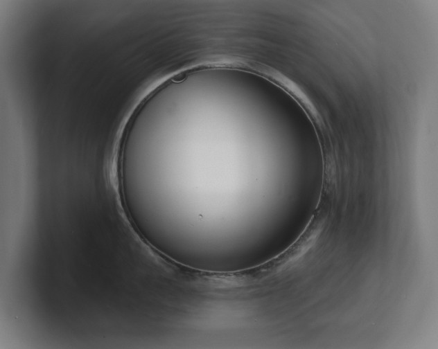 X0000101700959200807171512