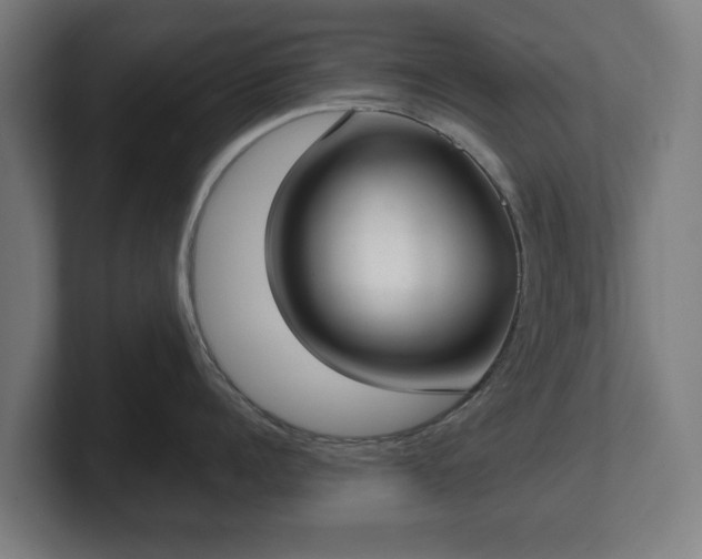 X0000101700960200807171512