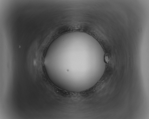 X0000101700961200807171511