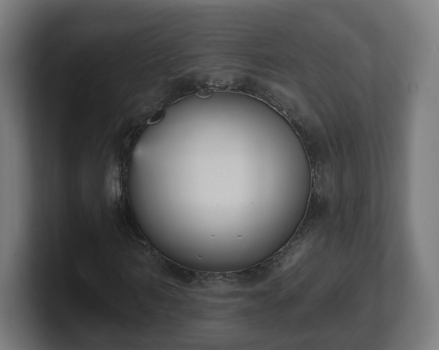 X0000101700962200807171511