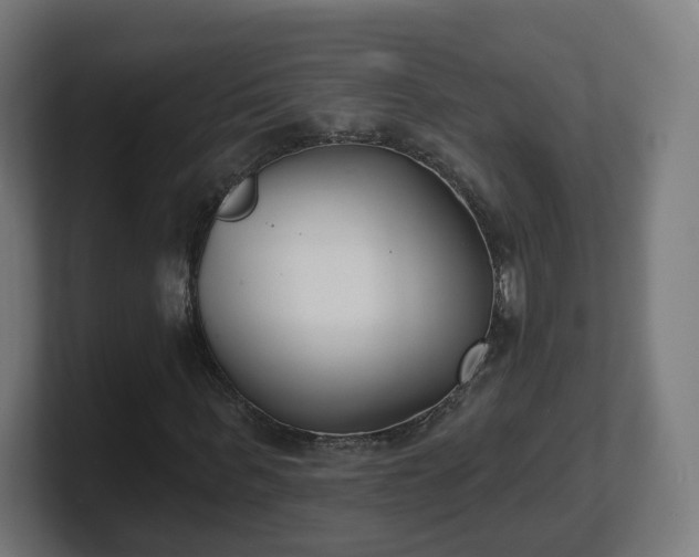 X0000101700963200807171511