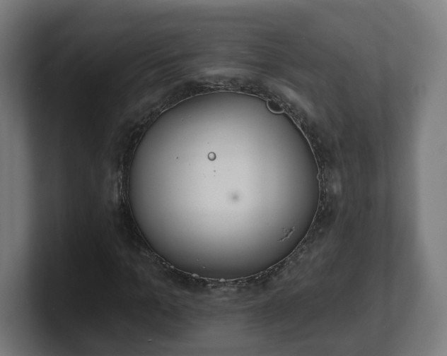 X0000101700965200807171511