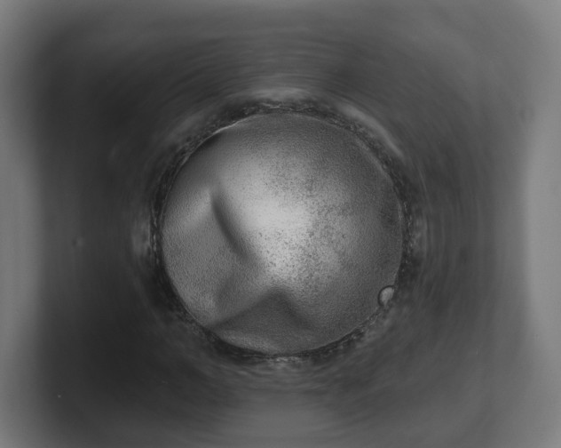 X0000101700966200807171511