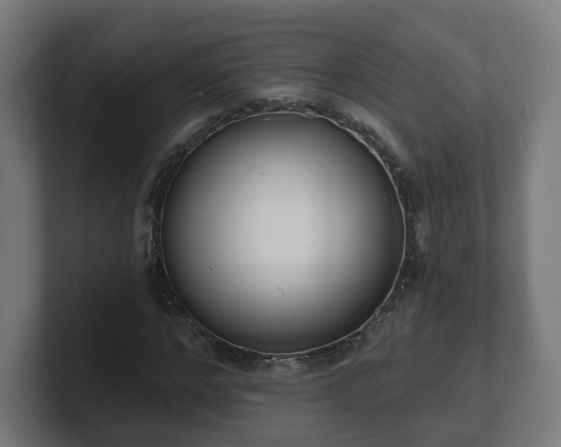 X0000101700968200807171511