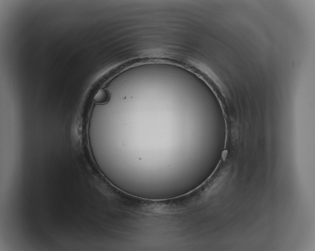 X0000101700971200807171511