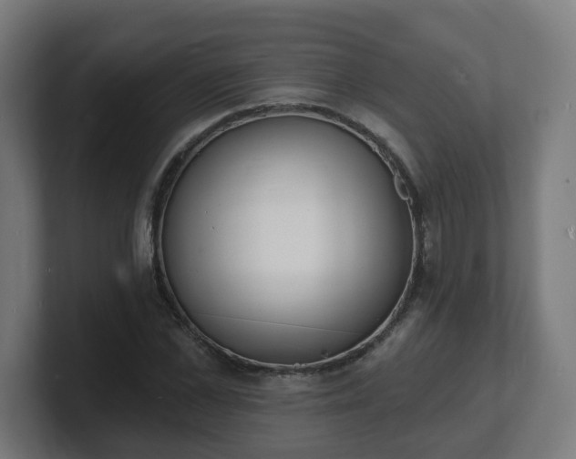 X0000101700973200807171511