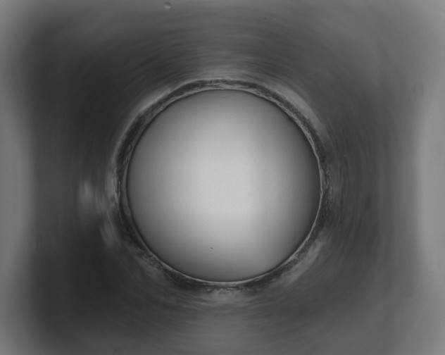 X0000101700974200807171511