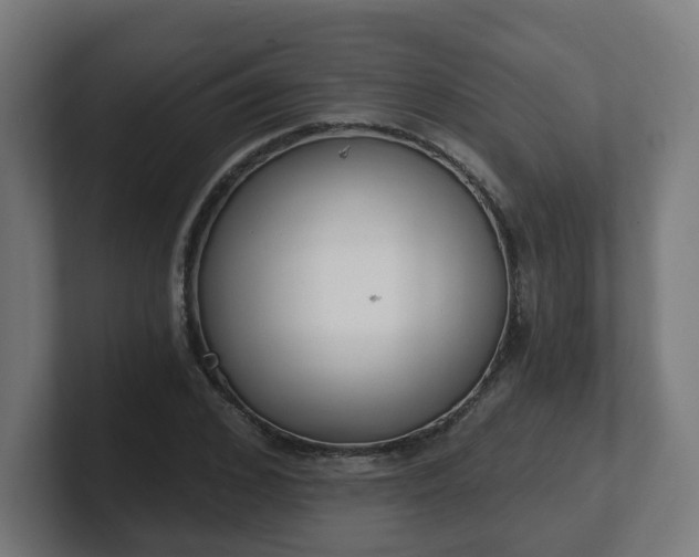 X0000101700976200807171511