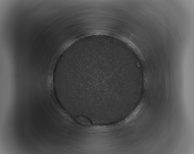 X0000101700977200807171511