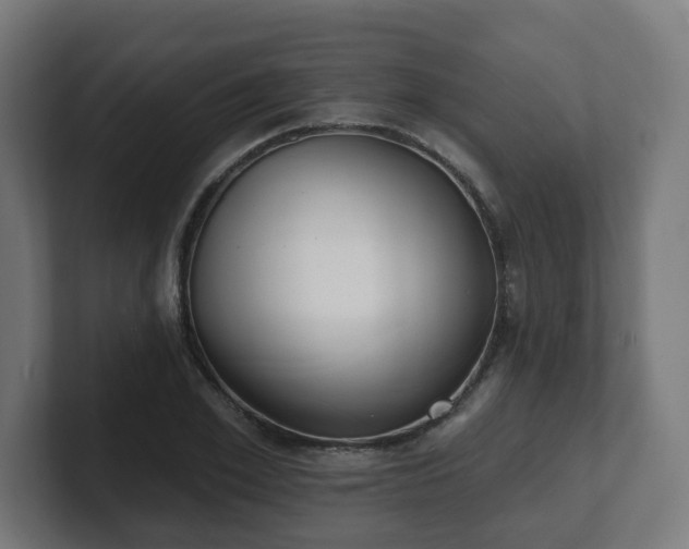 X0000101700981200807171511