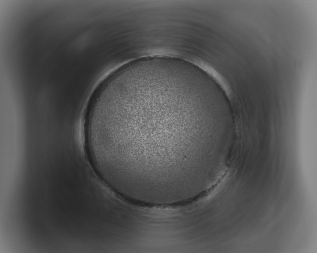 X0000101700983200807171511