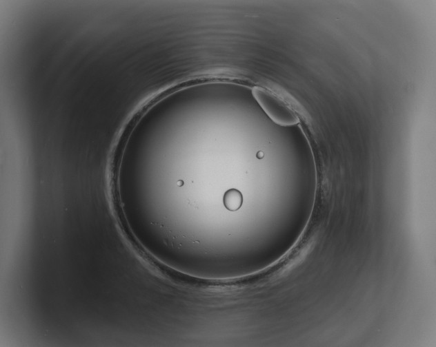 X0000101700989200807171511