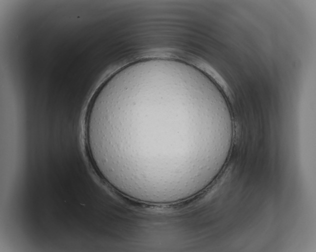 X0000101700994200807171510