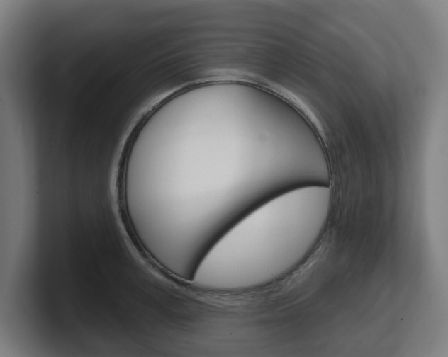 X0000101700995200807171510