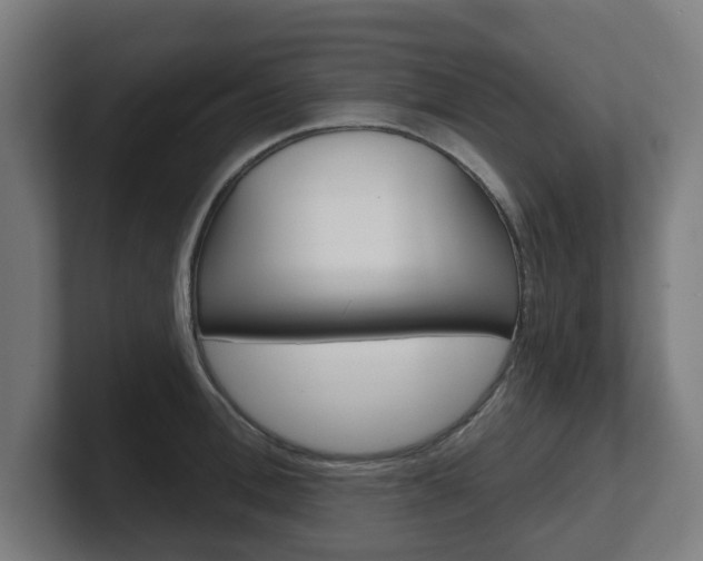 X0000101700996200807171510