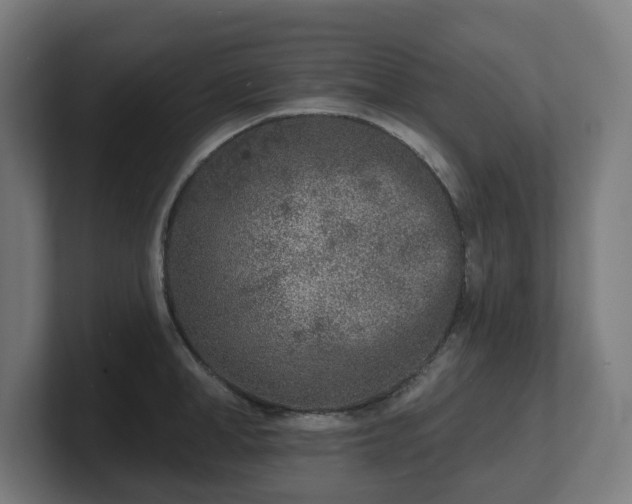 X0000101700998200807171510