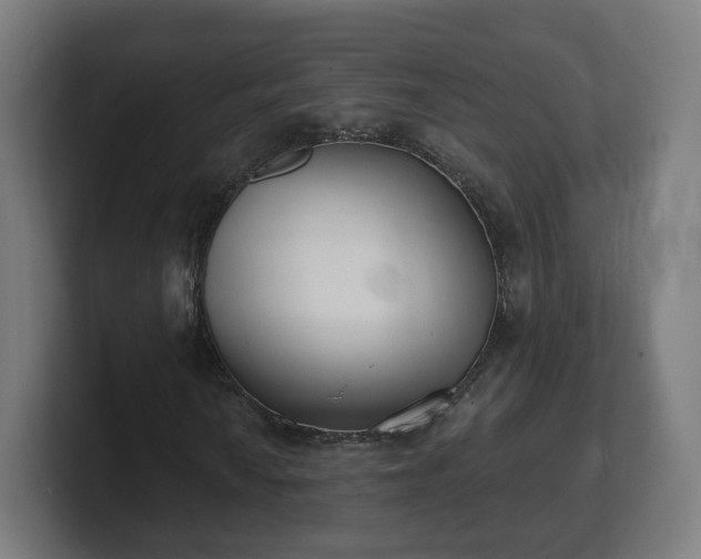 X0000101701010200807171510