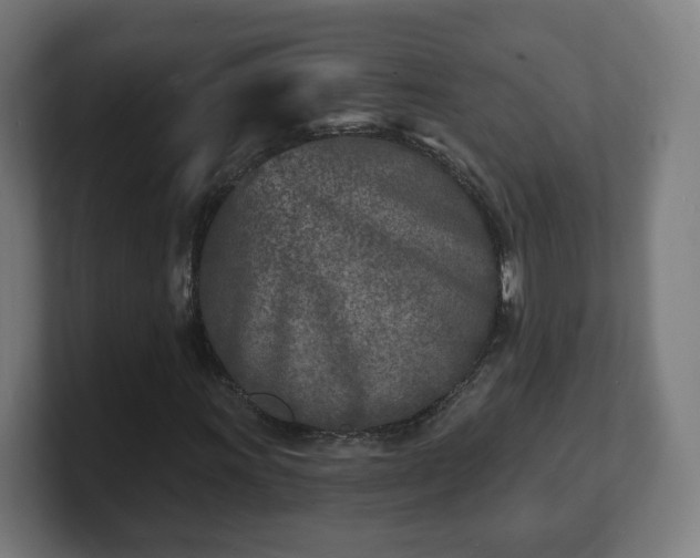 X0000101701011200807171510