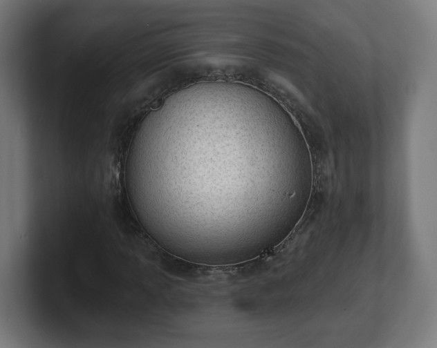 X0000101701013200807171510