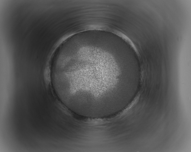 X0000101701019200807171510